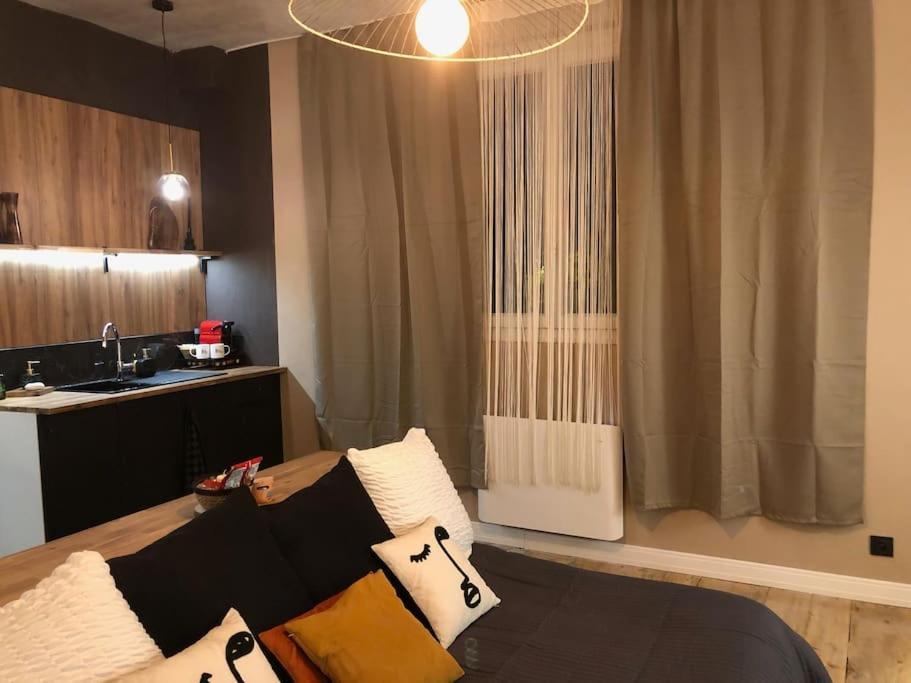 Le Tulum, T2, Hyper-Centre, Place Aux Herbes Макон Экстерьер фото